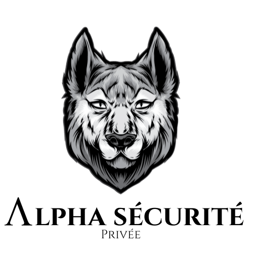1 2 1 ALPHA SÉCURITÉ PRIVÉE est une entreprise dynamique spécialisée dans le domaine de la sécurité privée. Forte d'une expérience solide et d'une expertise éprouvée, notre mission est de protéger et sécuriser vos biens et vos proches grâce à des solutions sur mesure adaptées à vos besoins spécifiques.