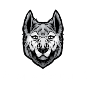 Logo alpha sécurité privée