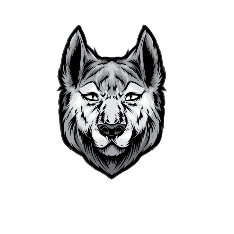 Logo alpha sécurité privée