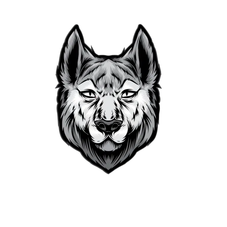 Logo alpha sécurité privée